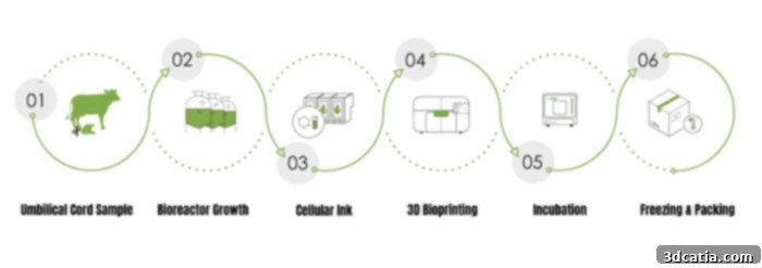 meatech 3D printed meat process