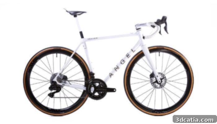 Angel Heaven, the titanium bicycle