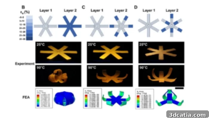 UCSD Breakthrough: Shape-Shifting Liquid Crystals 2 shape shift material