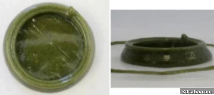 3D Printed Micro-Algae Snack Extrusion