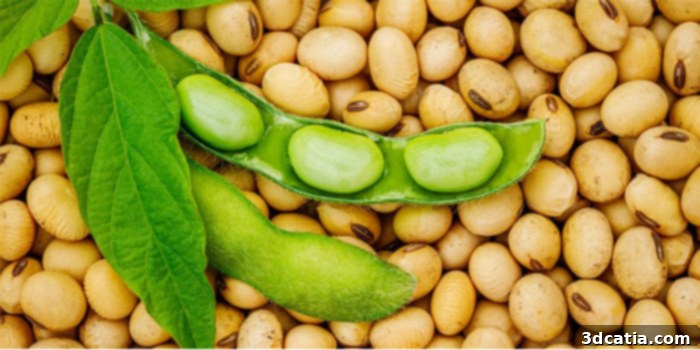 soy could be used for 3D printing