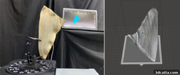 3D Scan and Replica Shark Fin for Identification