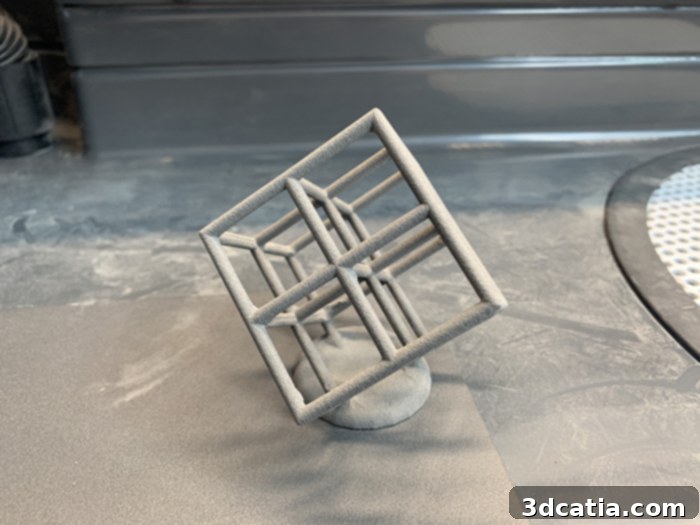 Lattice Cube 3D Printer Torture Test printed on Formlabs Fuse 1