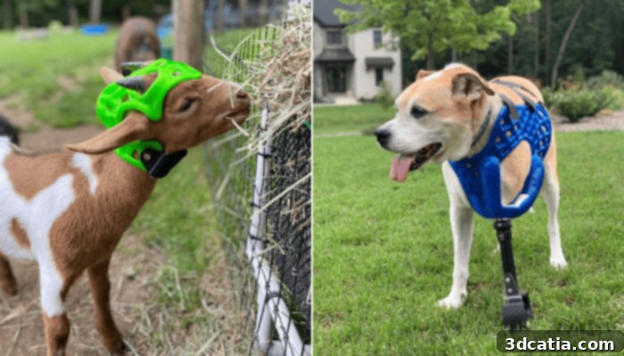 3D printed animal prosthetic in use, showcasing custom fit and design by DiveDesign