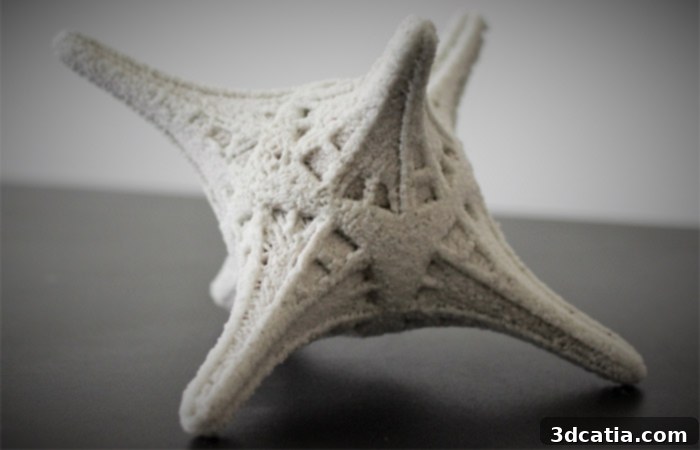 ING3D's MDLS technology enables the creation of complex structures for biotechnology applications, such as natural coral substrates for reef restoration.
