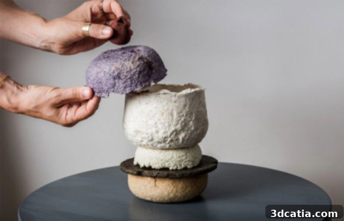Barbara Gollackner's Wasteware collection of 3D printed dishes from food waste