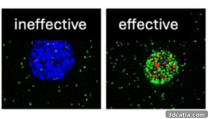 3D Printed Mini-Tumors for Immunotherapy Research