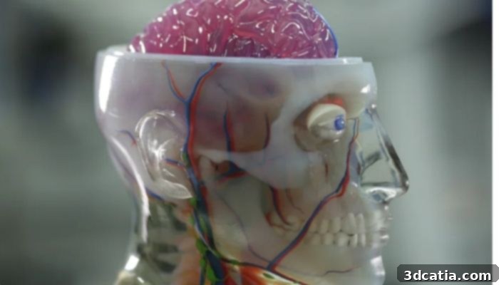 3D Printed Anatomical Models