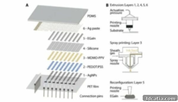 OLED Display Layers Diagram