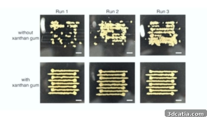 Researchers fine-tuning the okara particle size to achieve optimal printability.