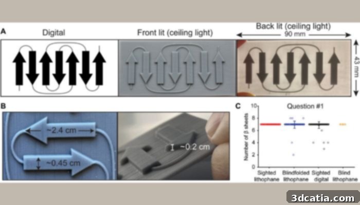 Steps from digital data to printed lithograph and participant results.