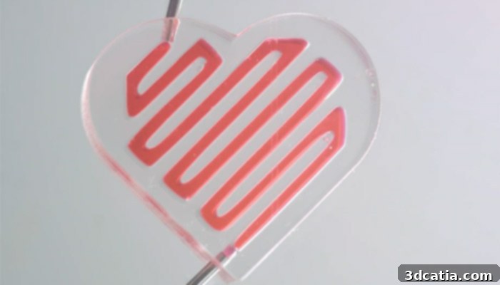 Conceptual image of a 3D bioprinted bioartificial heart, representing TissueLabs' long-term vision.