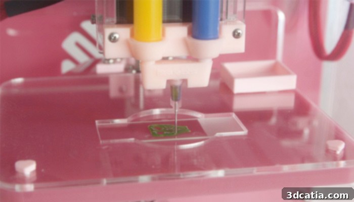 Diverse examples of advanced bioprinted tissues and complex constructs created using TissueLabs' innovative technology, illustrating a range of biological applications.
