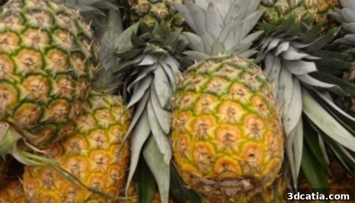 Researchers testing pineapple waste with PLA for stronger, biodegradable 3D printing filament.