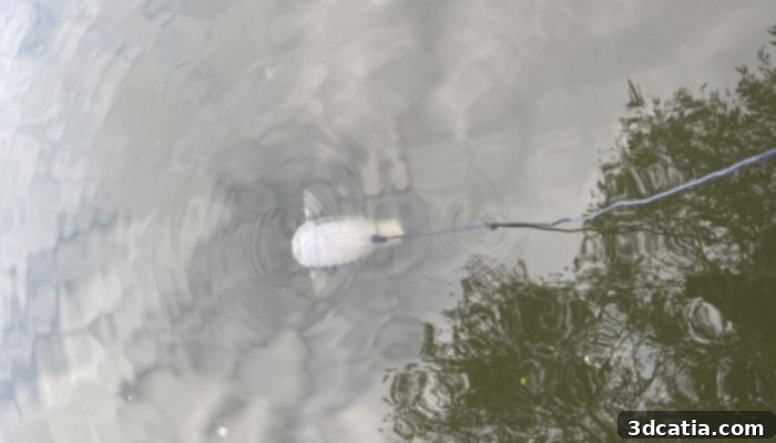 Robotic fish being tested in water 