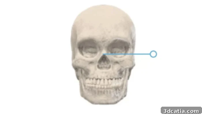 Plastic surgery solutions can include nose grafts