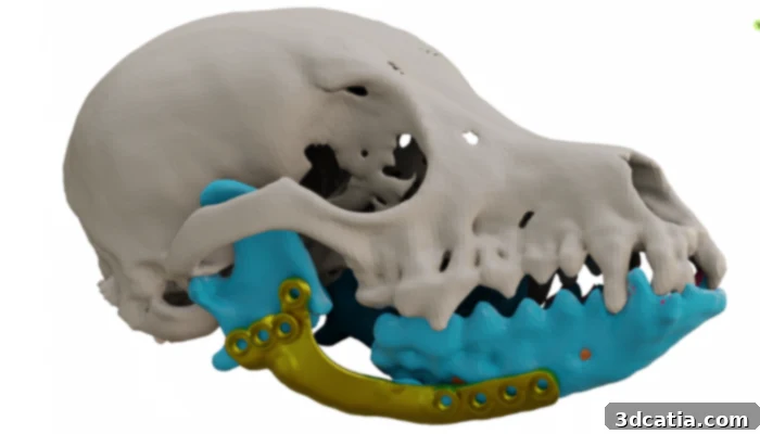 3D Printed Prosthetic for Dog's Jaw