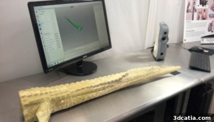 3D Scan of Alligator Tail
