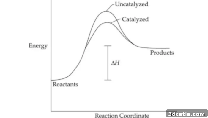 Catalyst lowering activation energy