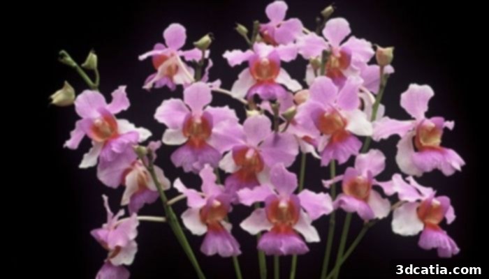 Vanda Miss Joaquim, the national flower of Singapore, serving as inspiration for 3D printed fashion