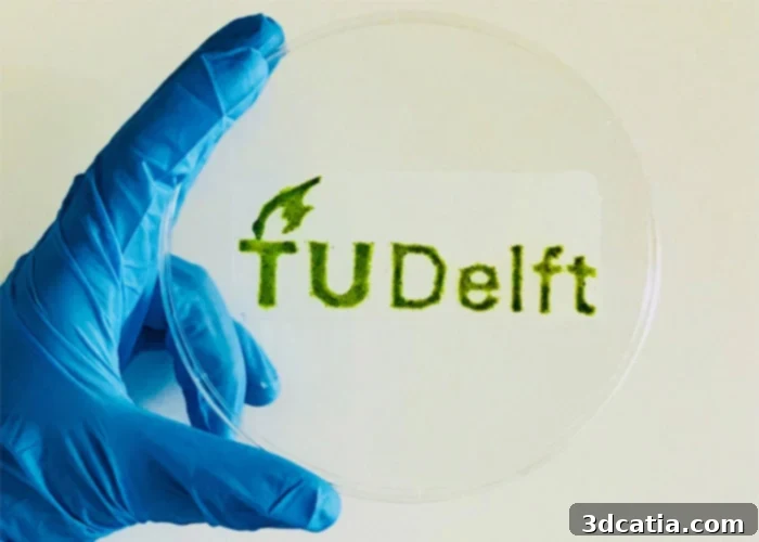 Diverse applications of 3D bioprinting in medical and botanical fields