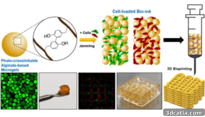 3D printed bioink made from photocrosslinkable natural carbohydrate alginate