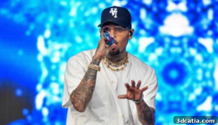 Chris Brown takes the stage at a music festival, showcasing the NAMI Slide, an example of innovative 3D printed footwear collaboration.