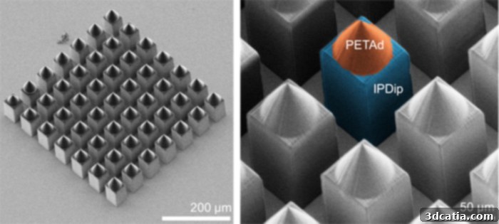 HETEROMERGE micro-needles