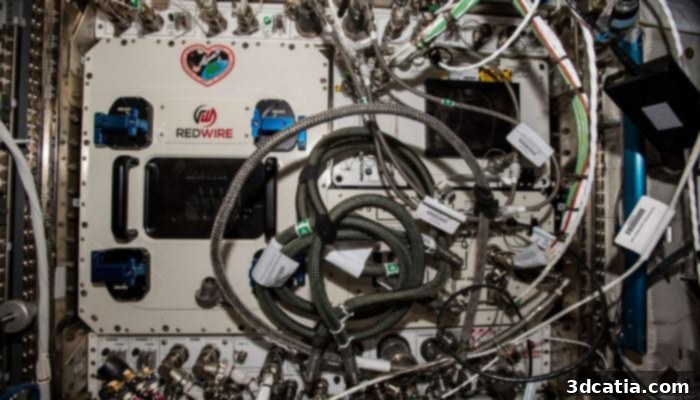 Redwire's 3D bioprinter on the ISS successfully printed a human knee meniscus.