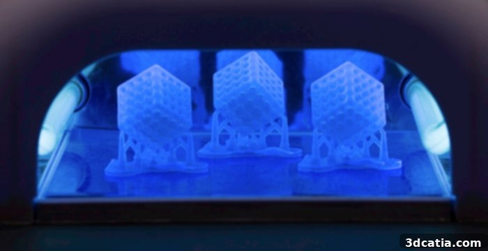 img 50551 4