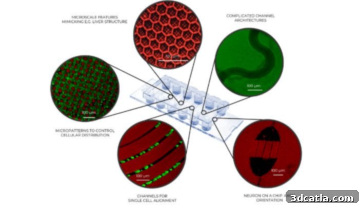 2PP bioprinting technology used to produce microfluidic chips for research