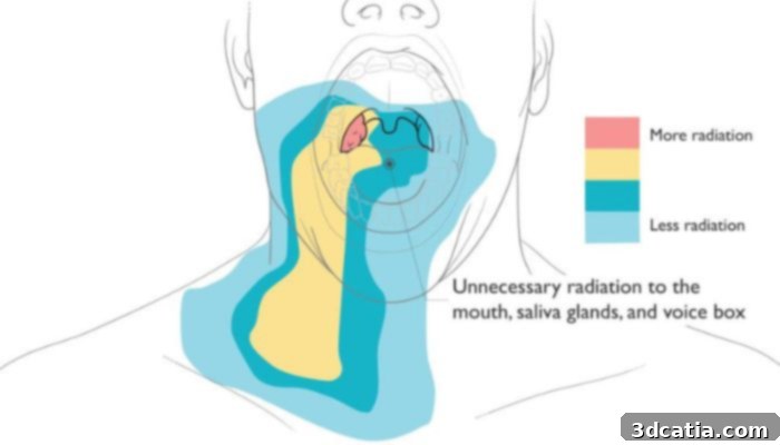 Impact of Radiation on Oral Organs