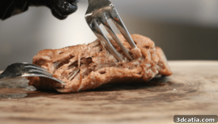 Steakholder Foods