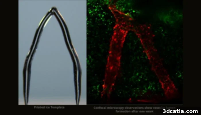 Close-up of 3D printed ice structure resembling blood vessels