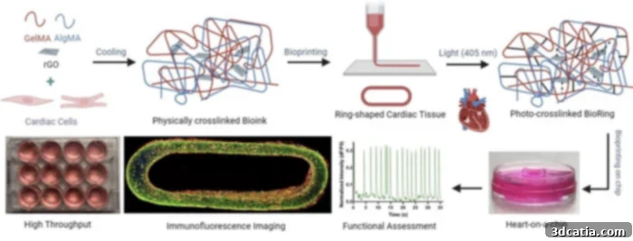 3D bioprinted heart-on-a-chip process developed by Canadian researchers