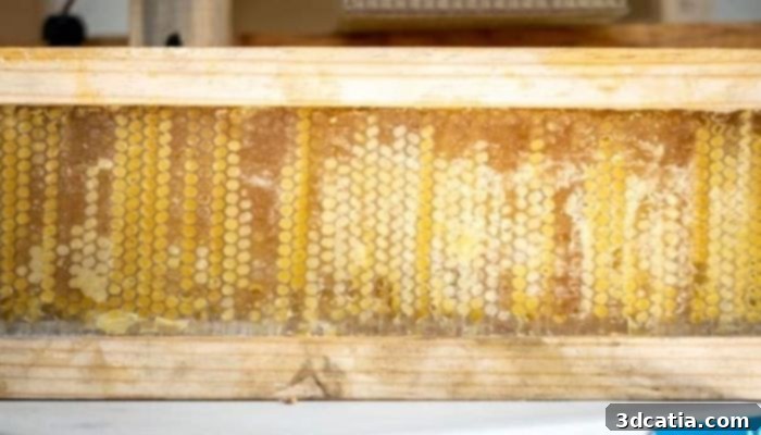 A close-up view of a 3D printed beehive, showcasing its intricate and precise internal structure.