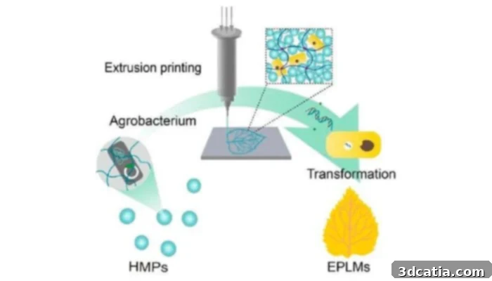 proceso de impresión 3D del material biohíbrido