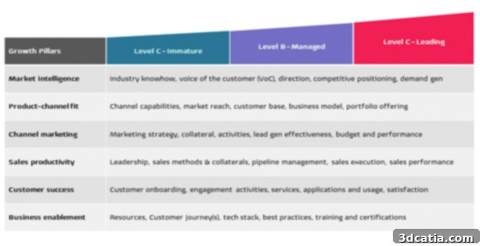 The Channel partner maturity model by 3D Alliances