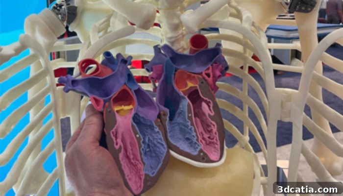 Close-up of Manny the 3D Printed Skeleton's Heart