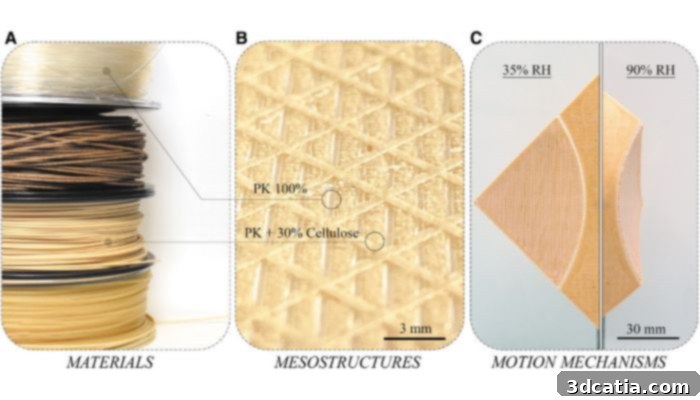 4D printing hygromorphic structures