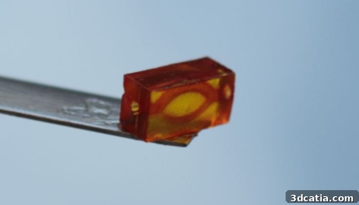 Printed blood vessel structure using BIORES INX bioink, demonstrating vascularization potential