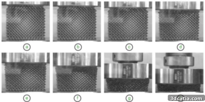 Lattice structures undergoing crush testing to evaluate their energy absorption capabilities.