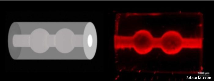 The schematic of a milk duct (left) and the team's 3D-printed model (right) (Image: ETH Zurich)