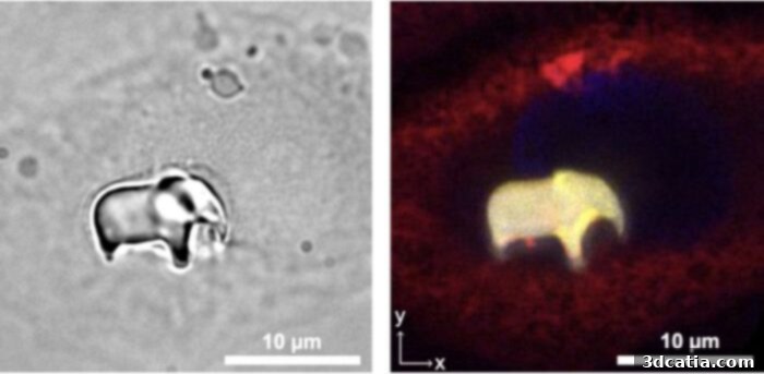 Microscopic elephant 3D printed inside a cell