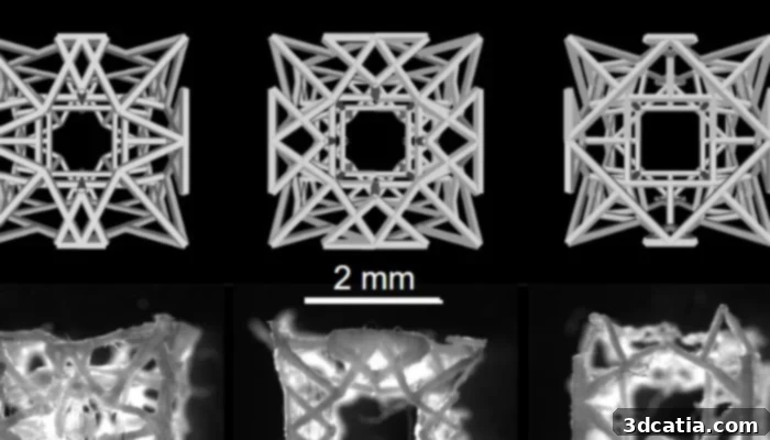 The lattice structure of the ‘patch’ from three perspectives