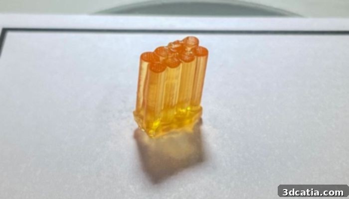 The Nerve Bridge, a groundbreaking 3D bioprinted medical implant designed for nerve regeneration in microgravity on the ISS.