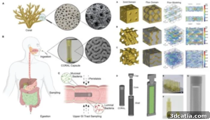 Conceptual design of the CORAL capsule for microbial sampling in the small intestine (left) and design and fabrication of CORAL capsules (right)