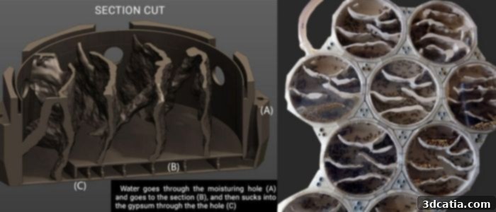 3DCoat Print can be used to prepare complex 3D prints, such as intricate ant farm models, demonstrating its versatility in detail creation.