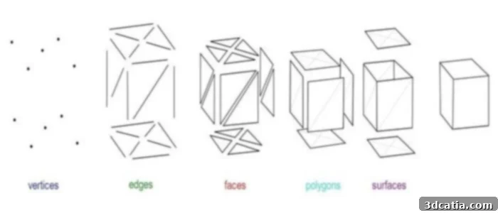 Diagram showing vertices, edges, and faces