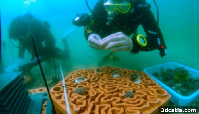 Archireef previously used their 3D terracotta tiles to help restore coral in Hong Kong. (Photo Credit: Archireef)